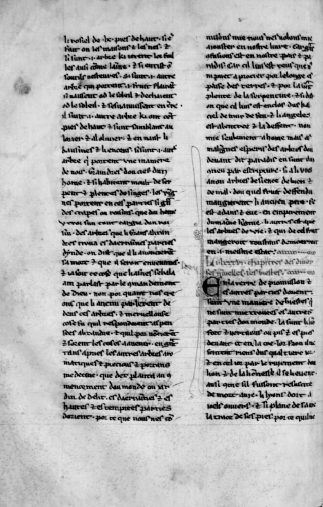 Sample page - Bibliothèque Nationale de France fr. 17203