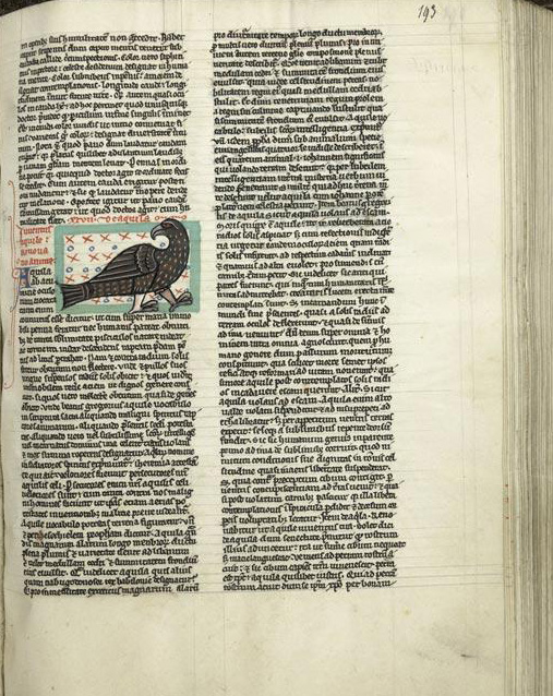 Sample page - Bibliothèque Municipale de Cambrai MS 259