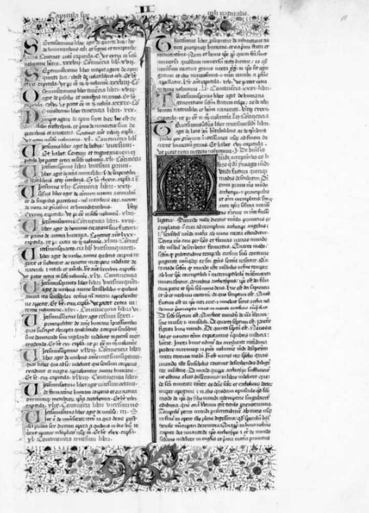 Sample page - Bibliothèque Nationale de France lat. 06428A