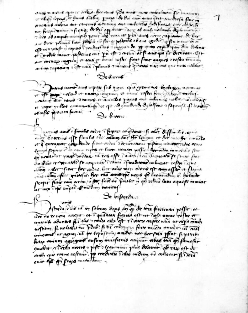 Sample page - Bibliothèque Nationale de France lat. 6521