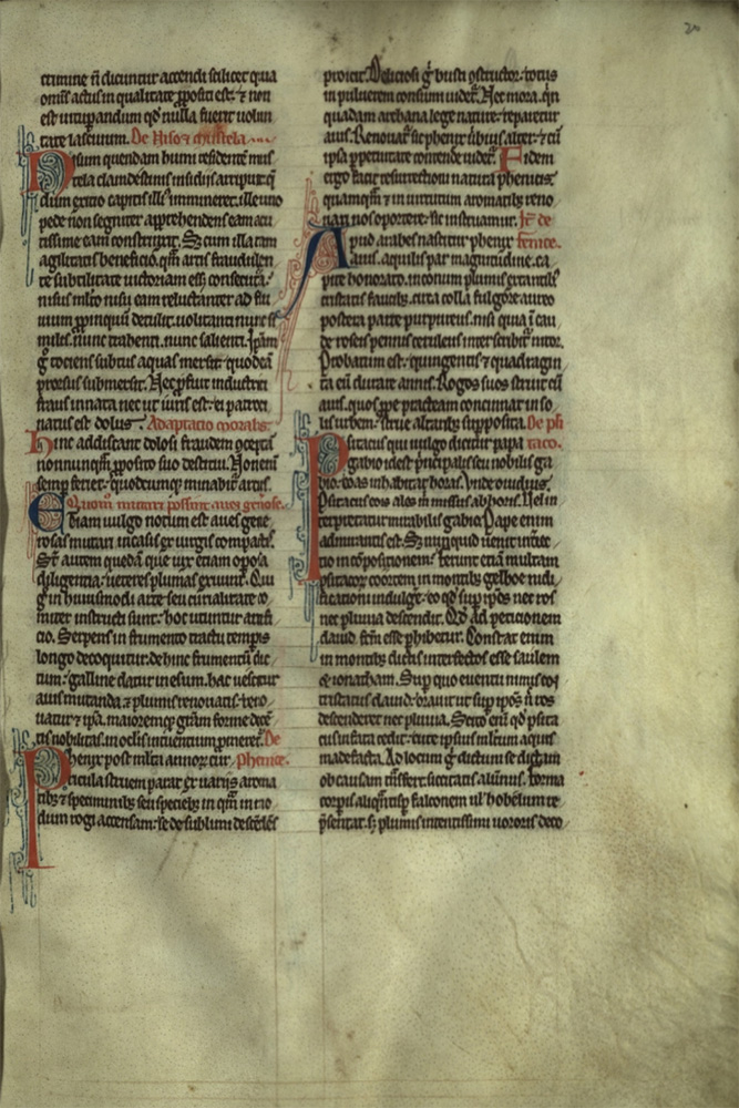 Medieval Bestiary Manuscripts Trinity College Library O 4 1 Medieval Bestiary Manuscripts Trinity College Library O 4 1