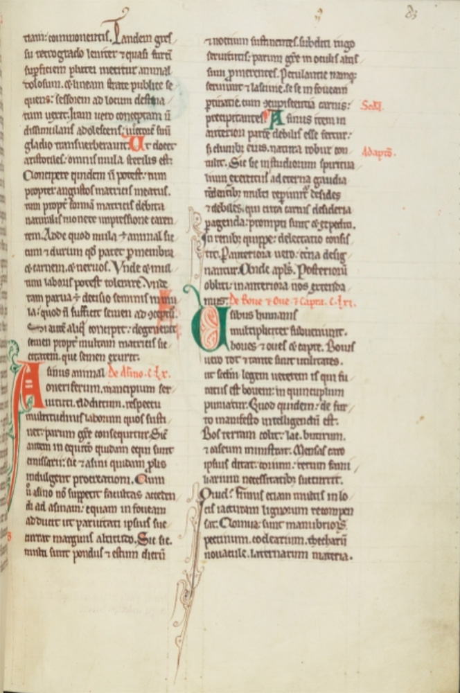 Medieval Bestiary Manuscripts Trinity College Library R 16 4 Medieval Bestiary Manuscripts Trinity College Library R 16 4