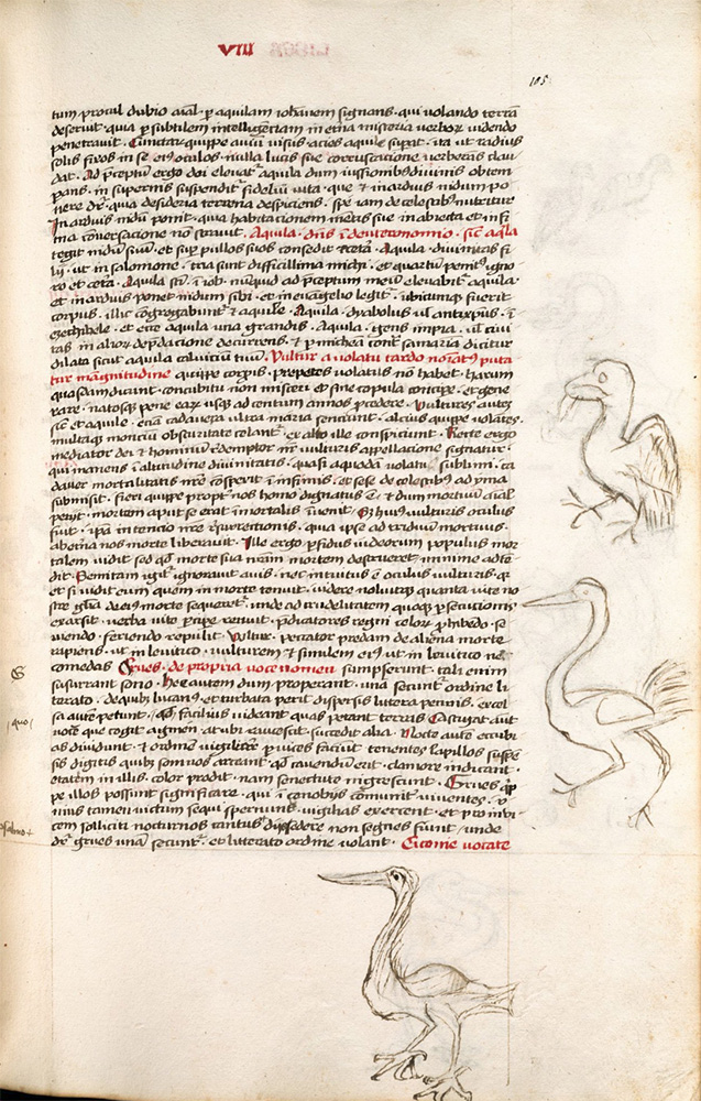 Sample page - Württembergische Landesbibliothek - Cod.theol.et.phil.fol.45