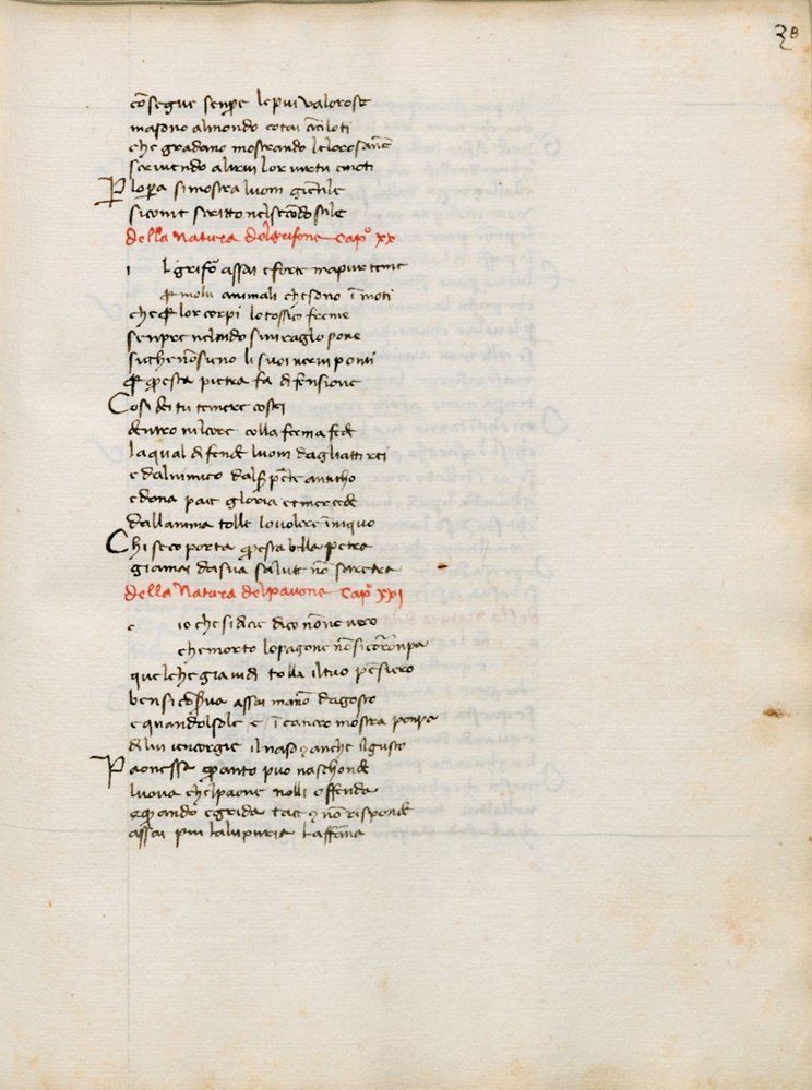 Sample page - Biblioteca Medicea Laurenziana Plut.40.51