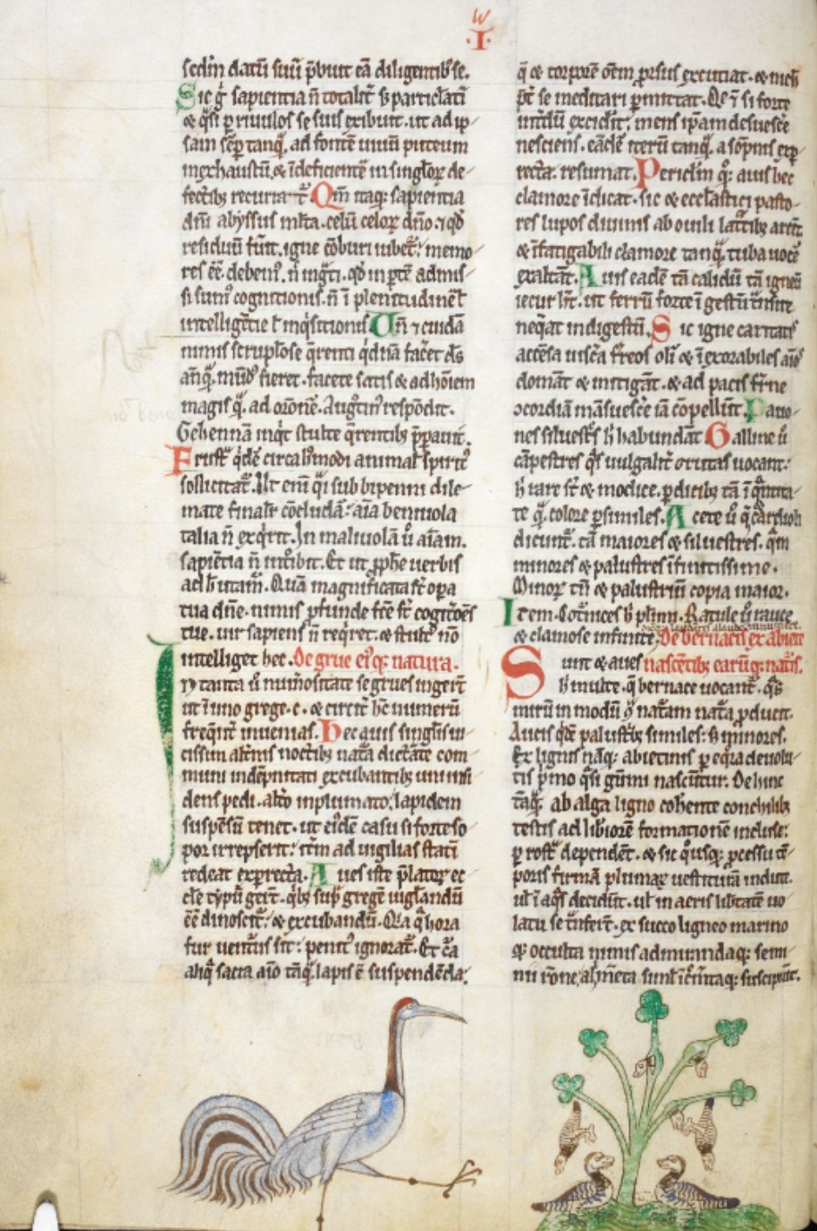 Sample page - British Library Royal MS 13 B VIII