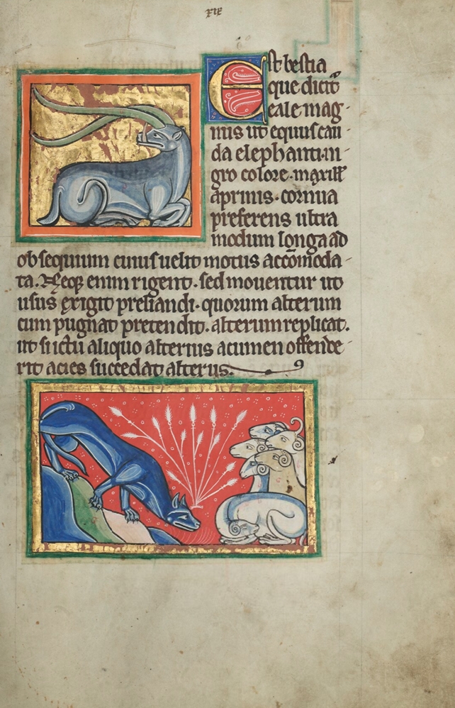 Sample page - St John's Oxford MS 61