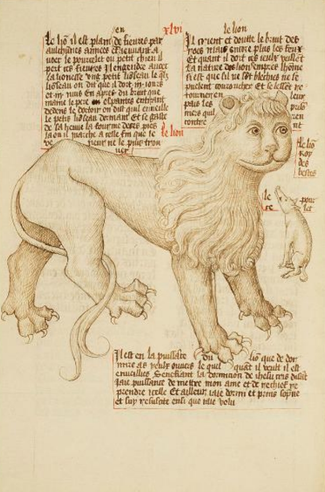 Sample page - Koninklijke Bibliotheek KB, 128 C 4