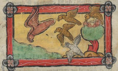 Alerion plunges into the sea