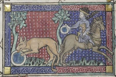 Tiger distracted by a mirror as man steals cub