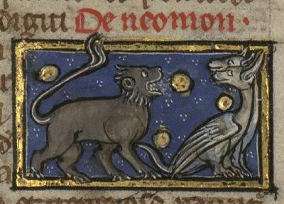 A animal that attacks snakes