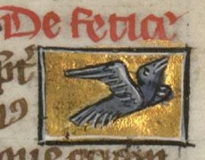 Fetix bird flying