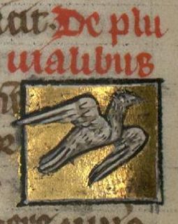 Plover as a generic flying bird