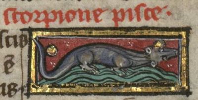 Sea-scorpion as a four-footed beast