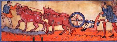 Oxen pulling a plow