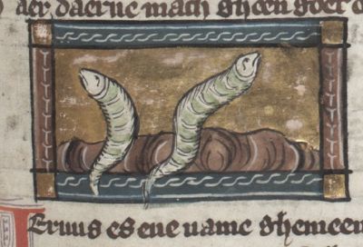 Worms rising out of soil