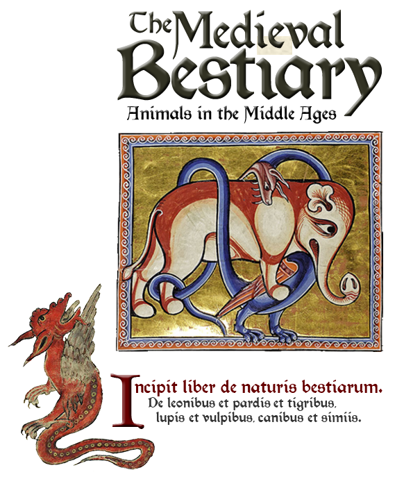 Here begins the book of the nature of beasts. 
Of lions and pards and tigers, wolves and foxes, dogs and apes.